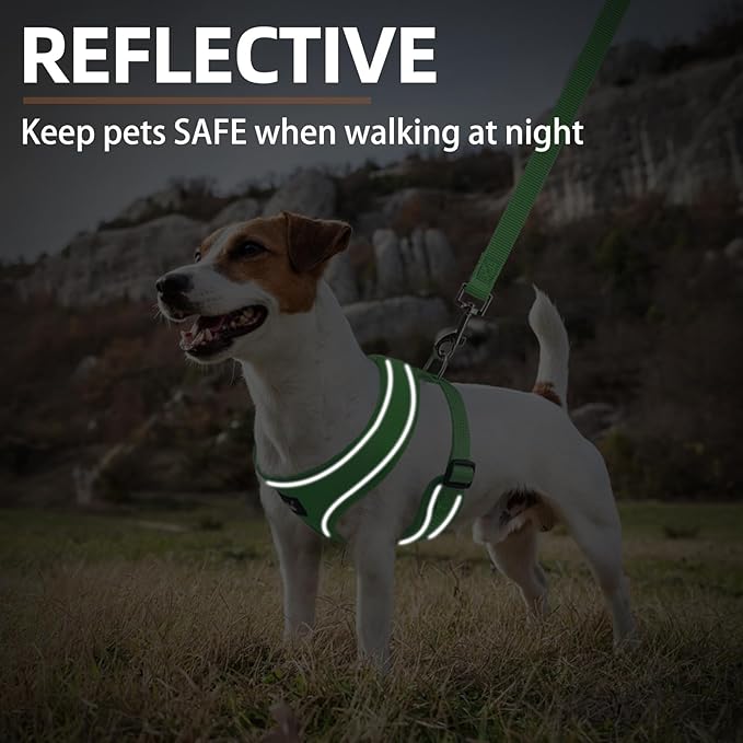 PUPTECK Soft Mesh Dog Harness and Leash Set Pet Puppy Cat Comfort Padded Vest No Pull Harnesses, Solid Green, S