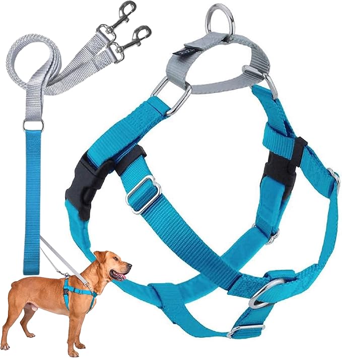 2 Hounds Design Freedom No Pull Dog Harness | Comfortable Control for Easy Walking |Adjustable Dog Harness and Leash Set | Small, Medium & Large Dogs | Made in USA | Solid Colors | 5/8" SM Turquoise