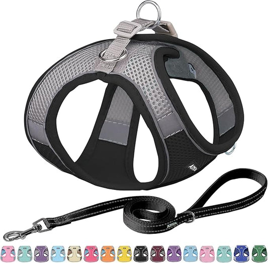 AIITLE Escape Proof Dog Harness - Step in Adjustable Dog Harness No Choke Over with Breathable Mesh and Quick-Release Buckle for Spring- Outdoor Walking, Camping, Training for Medium Dogs Black XL