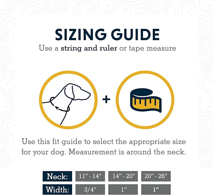 Ruffwear, Chain Reaction Dog Collar, Martingale Style for On-Leash Walking, Basalt Gray, 20"-26"