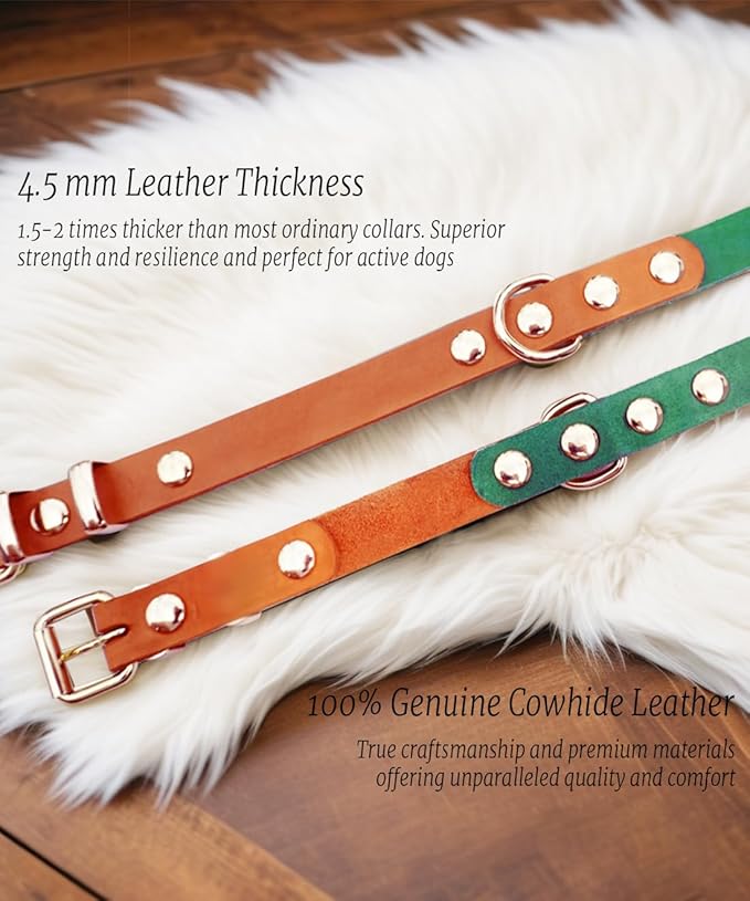 Premium Genuine Leather Dog Collar - Durable 4.5mm Thick, Color-Blocking Design with Rose Gold Hardware, Available in 4 Sizes for Small, Medium and Large Dogs Green,11-14.5 in