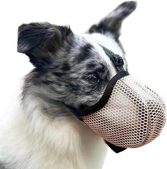 Large Dog Muzzle, Muzzle for Large Dogs to Prevent Eating/Chewing/Biting, Breathable Reflective Adjustable Medium Dog Accessories Dog Muzzle (Yellow, M)