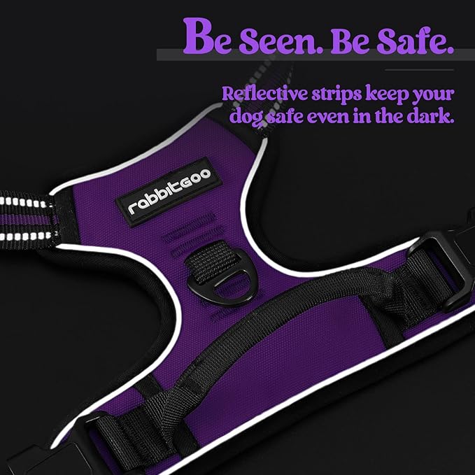 rabbitgoo Dog Harness, No-Pull Pet Harness with 2 Leash Clips, Adjustable Soft Padded Dog Vest, Reflective No-Choke Pet Oxford Vest with Easy Control Handle for Large Dogs, Purple, XL