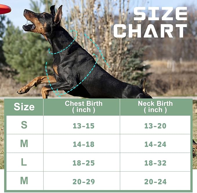 No Pull Dog Harness for Medium Dogs, Adjustable No Choke Pet Vest with Dog Leash Fit Smart Reflective Pet Walking Harness for Training Easy Control Soft Handle Black M