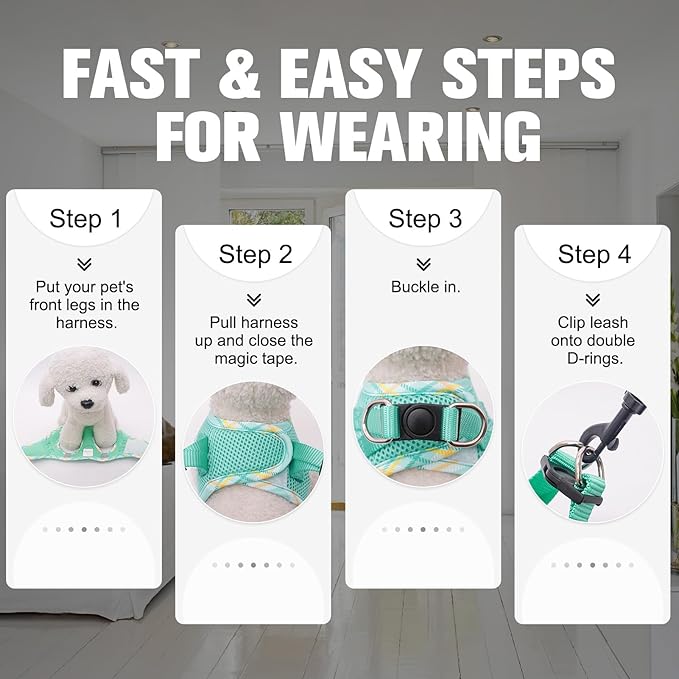 BEAUTYZOO Dog Harness and Leash Set for Small Medium Dogs,No Pull Step-in Harness for Puppy S M Sized Dogs and Cats,Air Mesh Adjustable Breathable Soft No Chock Escape Proof Vest Harnesses,Green M
