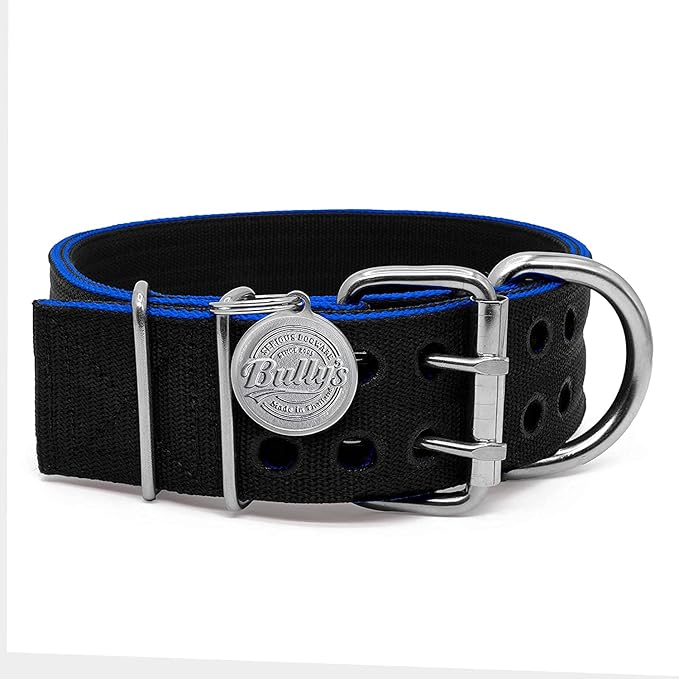 Pit Bull Collar, Dog Collar for Large Dogs, Heavy Duty Nylon, Stainless Steel Hardware (Large, Black with Blue Trim)