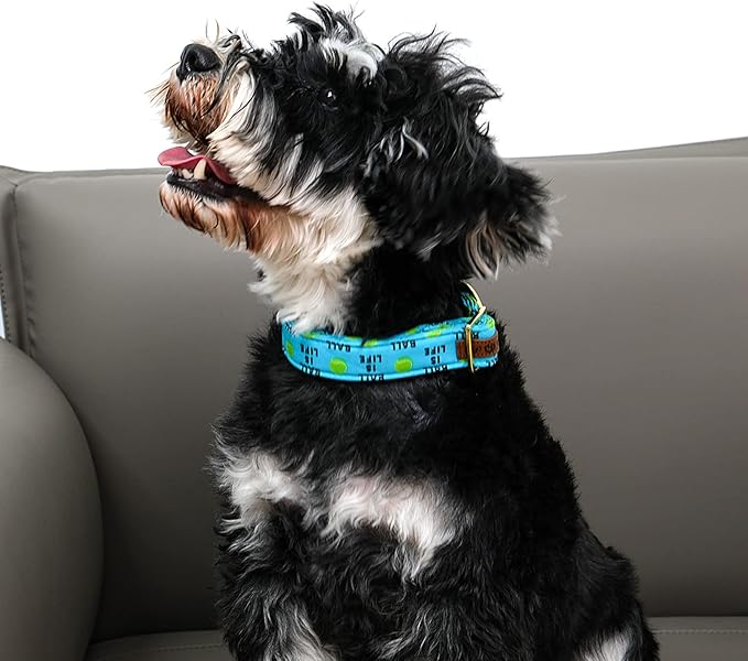 Lionet Paws Dog Collar, Comfortable Adjustable Cute Collar with Metal Buckle for Male Female Puppies and Cats Gift, Tennis Ball Pattern, XS, Neck 8-12 inches