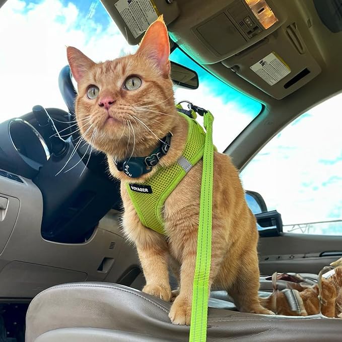 Voyager Step-in Air Dog Harness - All Weather Mesh, Reflective, No Pull Harness for Small, Medium Dogs, Cats - Secure with Hook & Loop Fastener, Buckle, Double D-Rings - Lime Green, S