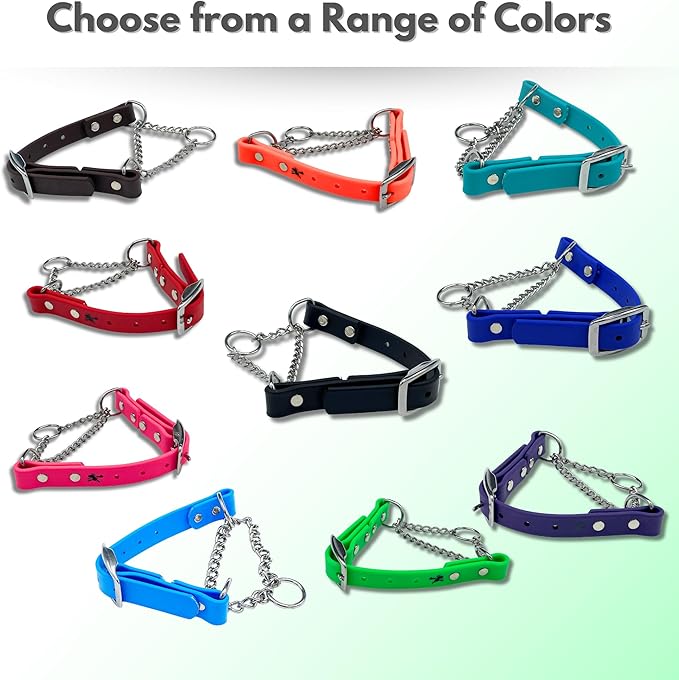 Martingale Collar for Dogs, Biothane, Stainless Steel Hardware, No Pull, Made in The USA, Professional Grade, Medium, Orange