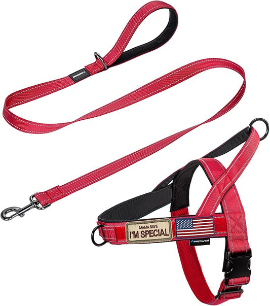 Annchwool No Pull Dog Harness with Padded Handle+5 Ft Leash,Reflective Strip Escape Proof and Quick Fit to Adjust Dog Harness,Easy for Training Walking for Small & Medium and Large Dog(Red-Set,L)