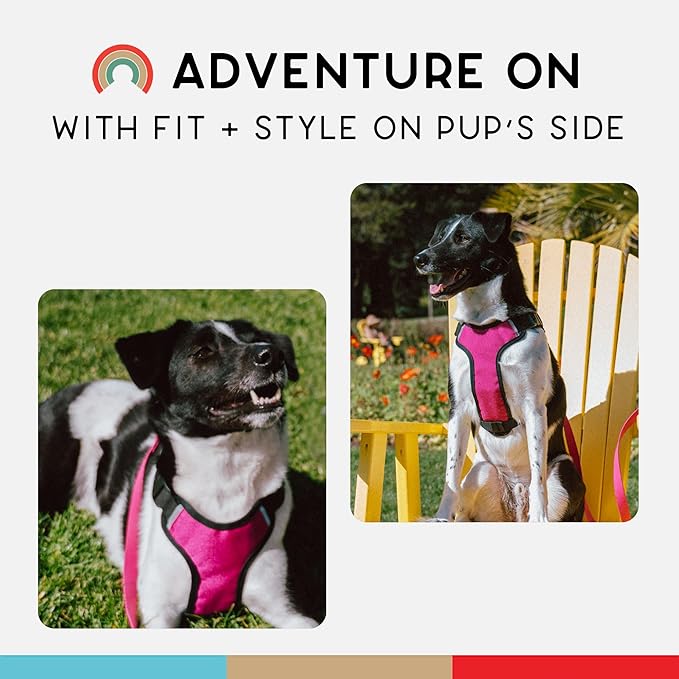 Dog Harness, Puppy Harness, Soft Harness for Dogs, Comfortable Dog Harness, Small Dog Harness, Dog Harness with Padding, 4 Point Adjustable - Wildebeest(XL - 30~36 inch Girth, Fuchsia)