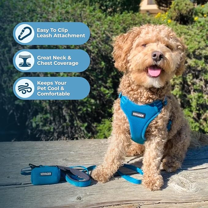 Best Pet Supplies Voyager Adjustable Dog Vest Harness Breathable No Pull Harness for Small, Medium, Large Dogs, Harness for Walking, Jogging, Easy Step-in, Reflective Stripes - (Turquoise), L