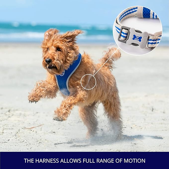 HUGO & HUDSON Dog Harness No-Pull Pet Harness Adjustable Quick Dry Mesh Padded Vest, Royal Blue, S