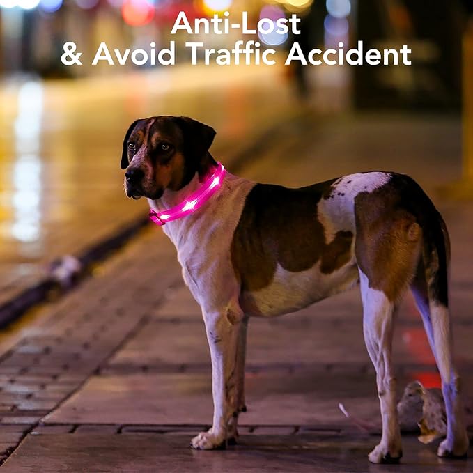 BSEEN Light Up Dog Collars - Glowing LED Dog Collar, Reflective Puppy Collar, Adjustable Lighted Dog Collar, Rechargeable Pet Collar for Night Walking (Pink-II, Large)