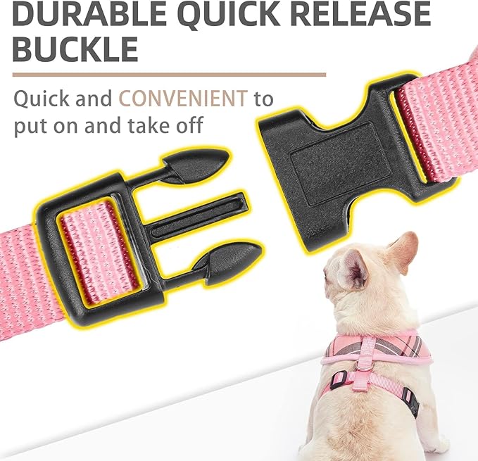 PUPTECK Soft Mesh Dog Harness and Leash Set Pet Puppy Cat Comfort Padded Vest No Pull Harnesses, Light Pink, XS