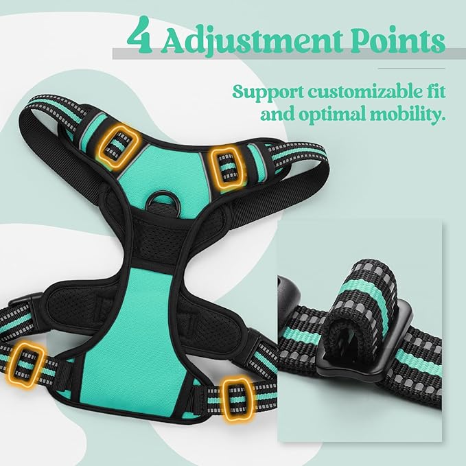 rabbitgoo Dog Harness, No-Pull Pet Harness with 2 Leash Clips, Adjustable Soft Padded Dog Vest, Reflective No-Choke Pet Oxford Vest with Easy Control Handle for Medium Dogs, Turquoise, M