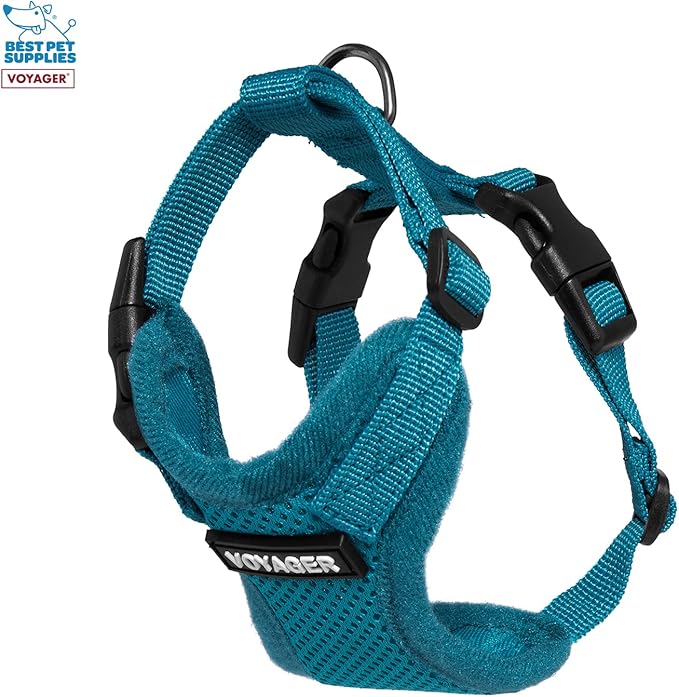 Voyager Step-in Lock Adjustable Cat Harness w. Cat Leash Combo Set with Neoprene Handle 5ft - Supports Small, Medium and Large Breed Cats by Best Pet Supplies - Turquoise, XXS
