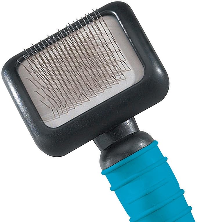 Master Grooming Tools Ergonomic Slicker Brushes — Molded Brushes for Grooming Dogs - Small, 3⅛" x 2½", Teal