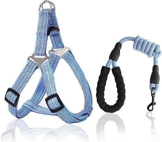 Dog Harness and Leash Set, No Pull Soft Mesh Pet Harness, Adjustable Puppy Vest for Small Medium Large Dogs (Blue, XL)