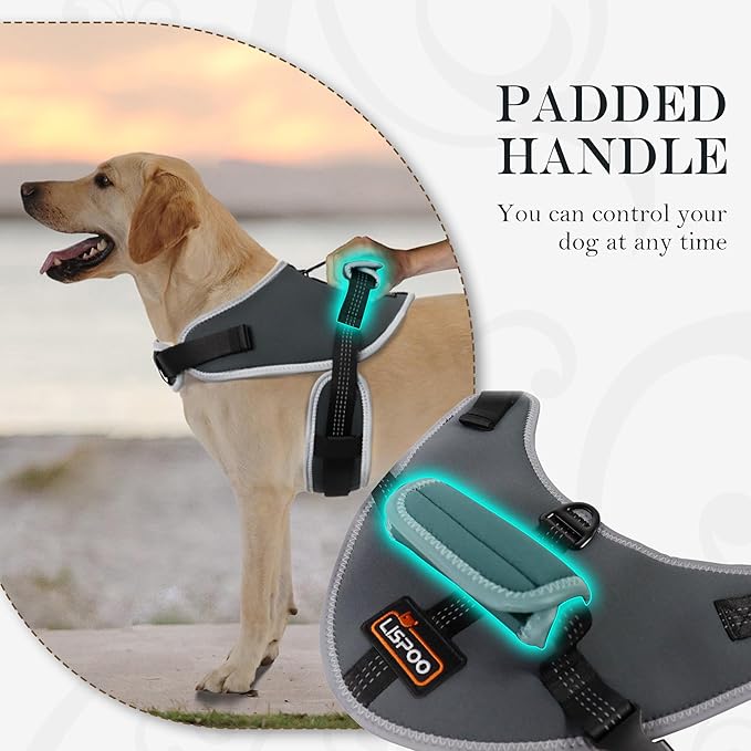 Reflective No Pull Dog Harness for Medium Dogs, Easy Control Dog Vest Harness, Breathable Mesh Harness, Comfortable and Adjustable, Metal Ring and Control Handle, Gray M