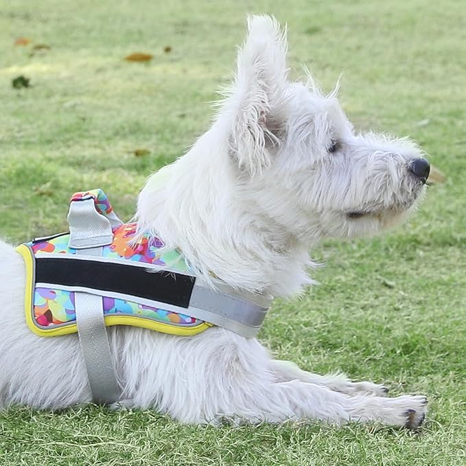 Bolux Dog Harness, No-Pull Reflective Dog Vest, Breathable Adjustable Pet Harness with Handle for Outdoor Walking - No More Pulling, Tugging or Choking (X-Large (Pack of 1), Watercolour)