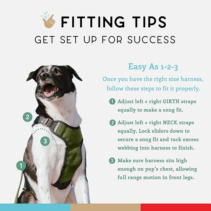 Dog Harness, Puppy Harness, Soft Harness for Dogs, Comfortable Dog Harness, Small Dog Harness, Dog Harness with Padding, Snug Fit Design, 4 Point Adjustable - Wildebeest(XS - 15~20 inch Girth, Olive)