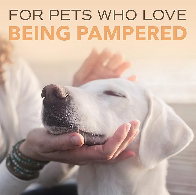 TropiClean SPA Lavish Dog Shampoo | Renew Deodorizing Dog Shampoo | Naturally Derived Salon Grade Ingredients | Made in the USA | 16oz