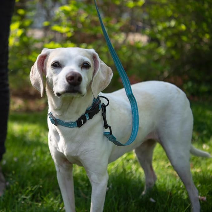 Voyager Reflective Dog Leash with Neoprene Handle, 6ft Long, Supports Small, Medium, and Large Breed Puppies, Cute and Heavy Duty for Walking, Running, and Training - Baby Blue, L