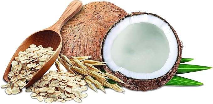 GIOVANNI Professional Pet Shampoo - Oatmeal & Coconut, Aloe Vera, for All Dog Fur Types, Deeply Cleanses, Silkens, Helps Neutralize Odors, Controls Static - 16 oz (Pack of 2)