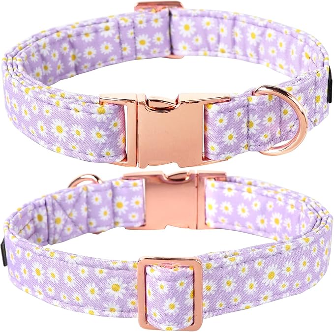 Lionet Paws Dog Collar, Comfortable Adjustable Cute Collar with Metal Buckle for Male Female Dogs Gift, Purple Daisy, Medium, Neck 13.5-22 inches