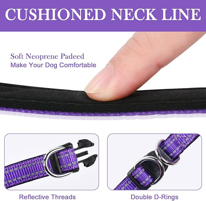 AUAUY Reflective Nylon Dog Collars, Adjustable Classic Pet Collars with Soft Neoprene Padding, Double Security Dual D-Ring and Quick Release Buckle for Small Puppy, Medium and Large Dogs (Purple-M)