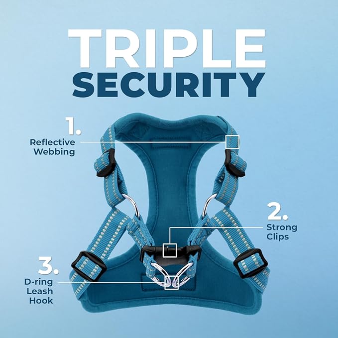 Best Pet Supplies Voyager Adjustable Dog Harness Leash Set with Reflective Stripes for Walking Heavy-Duty Full Body No Pull Vest with Leash D-Ring, Breathable All-Weather - Harness (Turquoise), XS