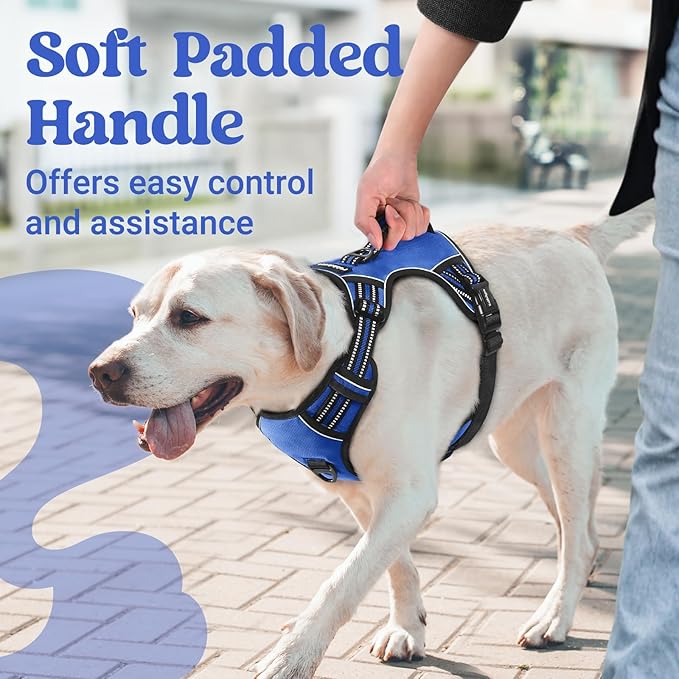 rabbitgoo Dog Harness Small Sized Dog, No Pull Pet Harness with Soft Padded Handle, Adjustable Reflective Vest with 3 Buckles, Easy Walking Harness with 2 Leash Clips, Blue, S