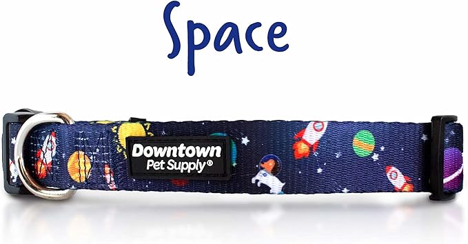Downtown Pet Supply - Best, Cute & Fancy Dog Collar - Lightweight Adjustable Dog Collar with Quick Buckle & D-Ring - Hand Wash Safe - Space - L - Large Dog Collar