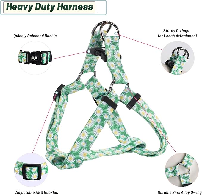 QQPETS Dog Harness Leash Set Adjustable Heavy Duty No Pull Halter Harnesses for Small Medium Large Breed Dogs Back Clip Anti-Twist Perfect for Walking