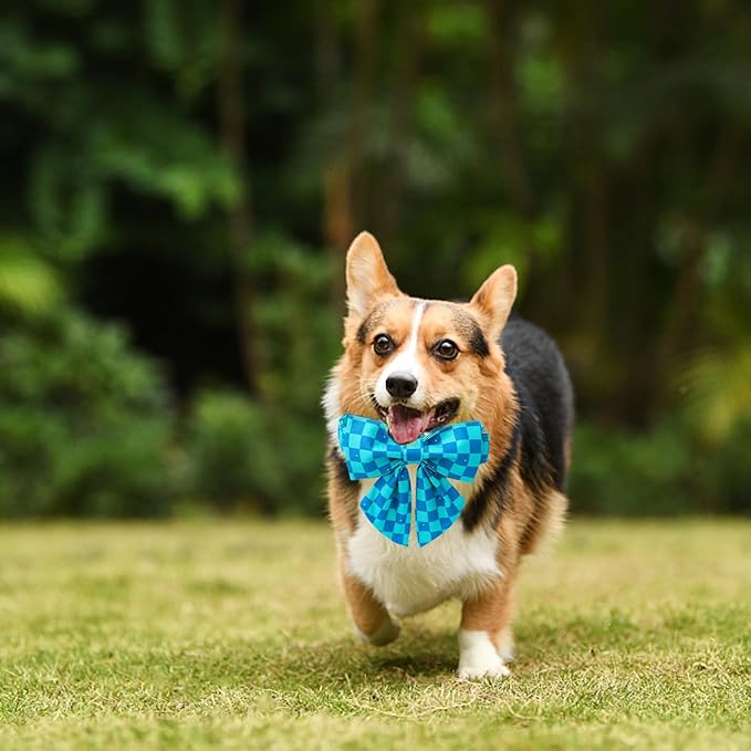 Maca Bates Plaid Blue Dog Collar with Checkered Bow Bowtie for Grid Dogs Bows Tie Adjustable Breakaway Collars Birthday Gift Colar for Small Medium Large XL Girl Boy Male Female Puppy Pets