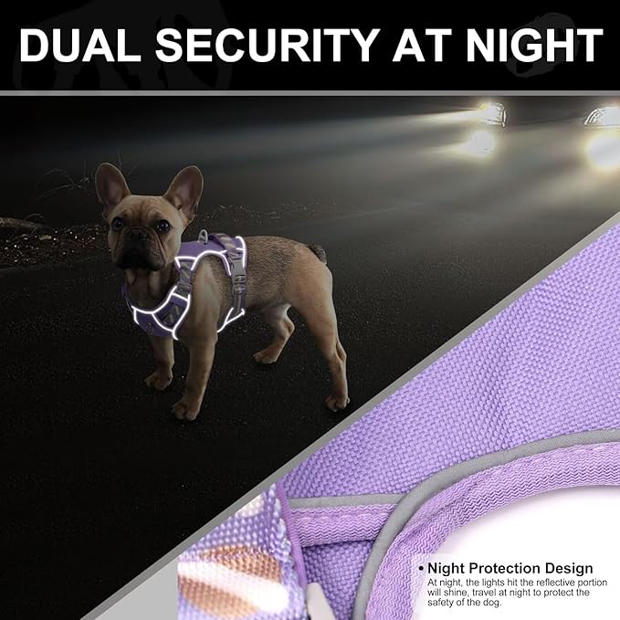No Pull Dog Harness and Leash Set,Reflective Dog Harness with Easy Control Soft Handle,Adjustable and Comfortable for Easy Walking,Fit Small Medium Large Breed Dogs,Purple,M