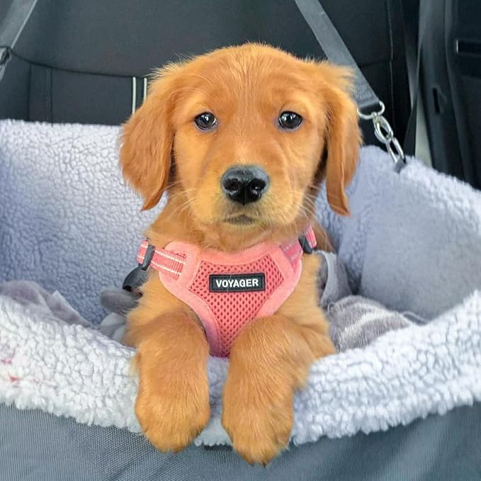 Best Pet Supplies Voyager Adjustable Dog Harness Leash Set with Reflective Stripes for Walking Heavy-Duty Full Body No Pull Vest with Leash D-Ring, Breathable All-Weather - Harness (Pink), S