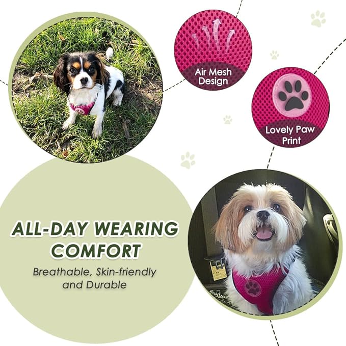 SlowTon Dog Seat Belt Harness for Car, Dog Car Harness Adjustable Mesh Breathable & Dog Seatbelt Safety Tether with Elastic Bungee for Small Medium Large Pets(Fuchsia, Double Clip, XXXS)
