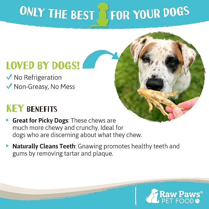 Raw Paws Dried Chicken Feet for Dogs (10 Pack) - Packed in USA - 100% Digestible, Single Ingredient - Chicken Feet Dog Treats - Natural Smoked Dehydrated Chicken Feet for Dogs - Chicken Feet Dog Chews