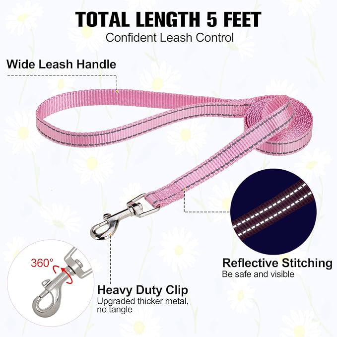 BEAUTYZOO Step in Dog Harness and Leash Set, Reflective Dog Harness No Pull No Choke Puppy Cat Harness Adjustable for XXS XS S Dogs Cats, Soft Padded Mesh Vest Harnesses for Girl and Boy Pets