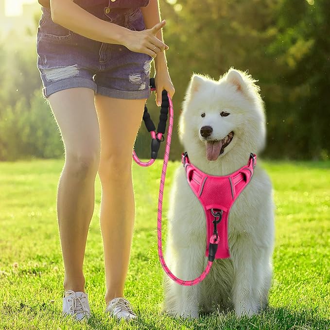 BARKBAY Dog Harness No Pull with ID Tag Pocket - Heavy Duty, Reflective, Easy Control for Large Dogs (Pink,S)