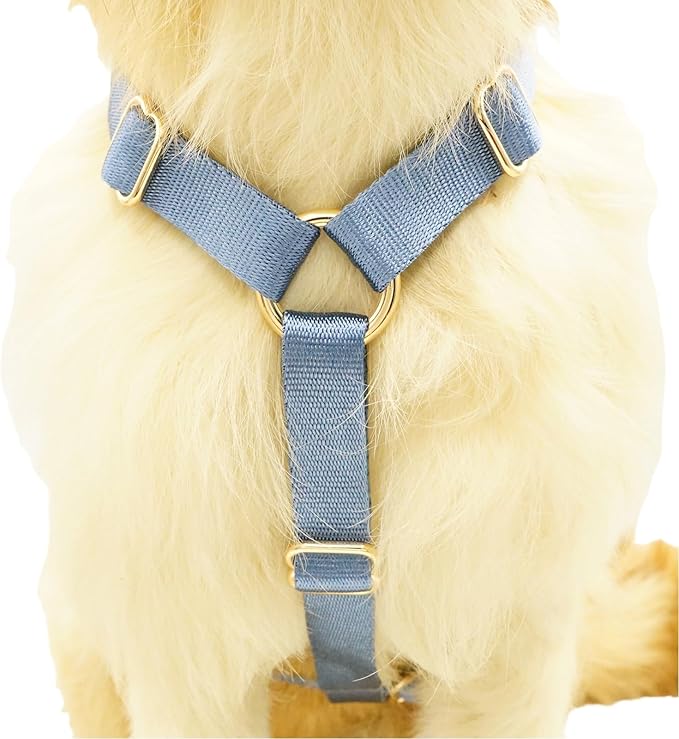 Nylon No Pull Dog Harness with Gold Metal Buckles,Easy Walking and Training Dog Harness (Air Blue, L)