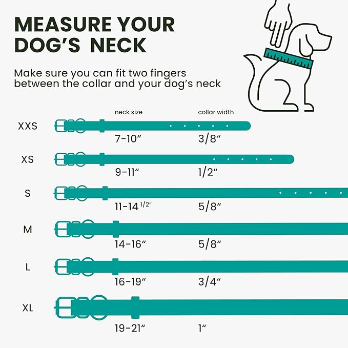 BRONZEDOG Rolled Leather Dog Collar with QR ID Tag Adjustable Soft Round Collars for Small Medium Large Dogs Puppy Cat (7" - 10" Neck Size, Turquoise)
