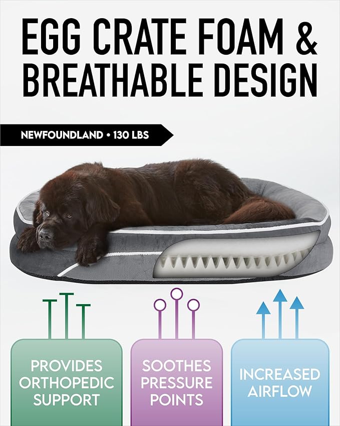 OhGeni Orthopedic Dog Bed for Extra Extra Large Dogs, Dog Couch Design with Egg Foam Support, Removable, Machine Washable Plush Cover and Non-Slip Bottom with Four Sided Bolster Cushion (Gray)