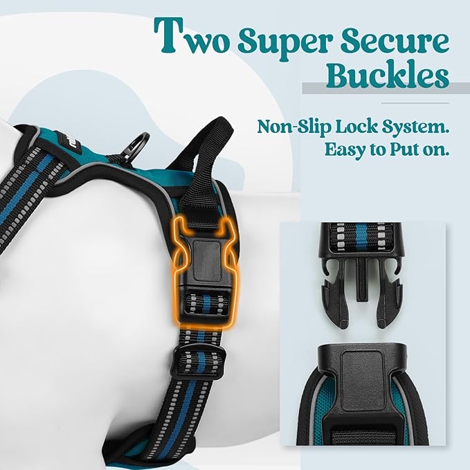rabbitgoo Dog Harness, No-Pull Pet Harness with 2 Leash Clips, Adjustable Soft Padded Dog Vest, Reflective No-Choke Pet Oxford Vest with Easy Control Handle for Large Dogs, Blue Coral, L