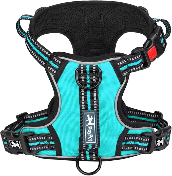 PoyPet No Pull Dog Harness, No Choke Front Clip Reflective Dog Vest with Soft Padded Vertical Handle, 3 Leash Attachments for Small Medium Large Dogs (Mint Blue,S)