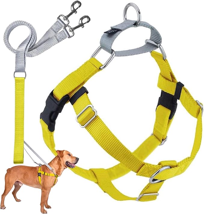 2 Hounds Design Freedom No Pull Dog Harness | Comfortable Control for Easy Walking |Adjustable Dog Harness and Leash Set | Small, Medium & Large Dogs | Made in USA | Solid Colors | 1" XXL Yellow