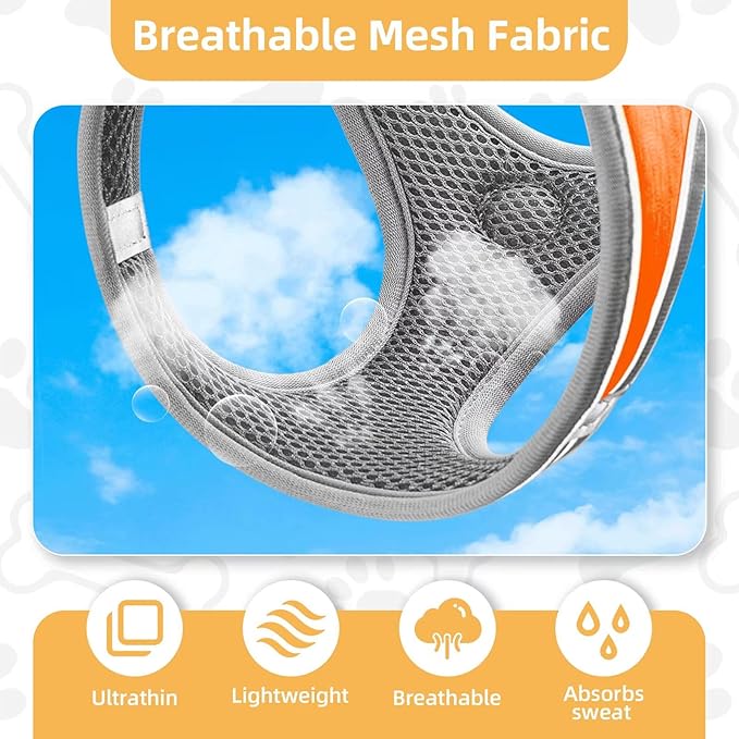 Dog Harness with Leash Set, Adjustable Soft Mesh Padded Reflective Dog Harnesse, Dog Leash with Soft Padded Handle, Puppy Harness and Leash Set for Walking,Training - Orange, XS