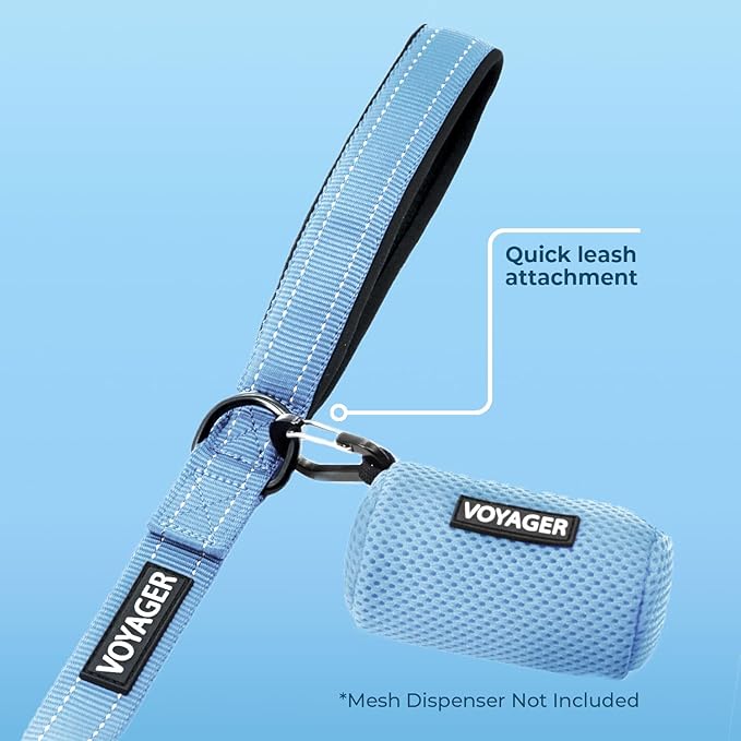 Voyager Reflective Dog Leash with Neoprene Handle, 6ft Long, Supports Small, Medium, and Large Breed Puppies, Cute and Heavy Duty for Walking, Running, and Training - Baby Blue, L